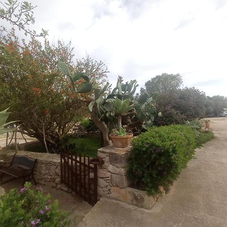 Casa Rural Es Cap De Barbaria San Francisco Javier المظهر الخارجي الصورة