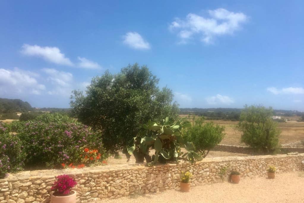 Casa Rural Es Cap De Barbaria San Francisco Javier المظهر الخارجي الصورة