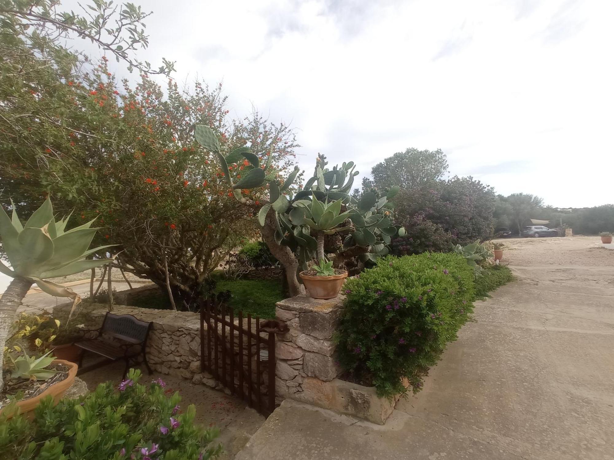 Casa Rural Es Cap De Barbaria San Francisco Javier المظهر الخارجي الصورة